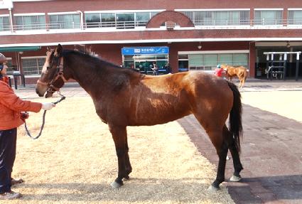 �°� ����