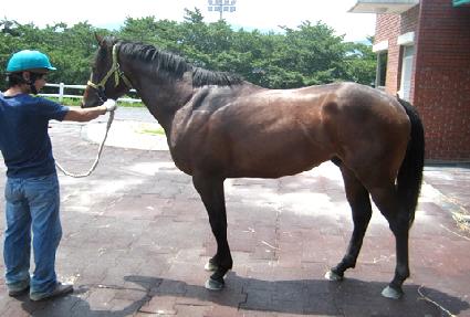 ���ϵ����� ����