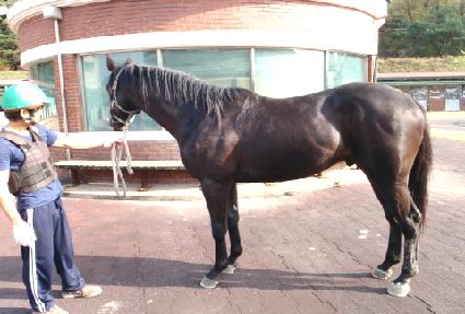 �򼮼��� ����