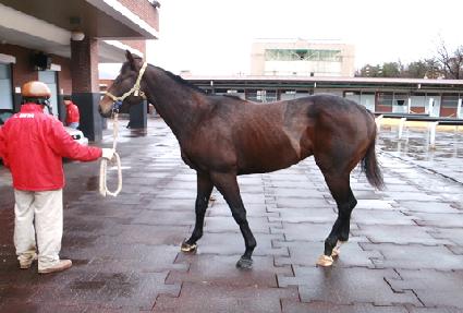 ���ۿ���Ʈ ����