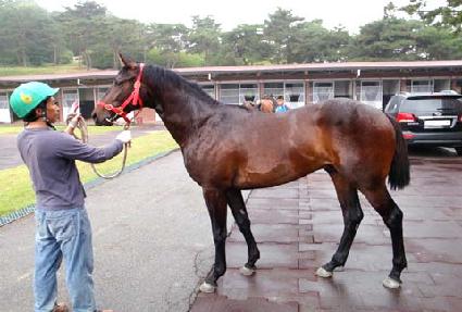 ����Ĺ ����