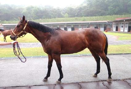 ���ǰ�� ����