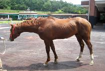 �ٴٵ�ǳ (BADA DOLPUNG) ����