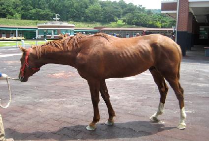 �ٴٵ�ǳ ����