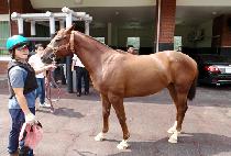 �������� (YEOKSIJEIL) ����