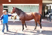 ���˸��� (BYEOLTTONG MANIM) ����