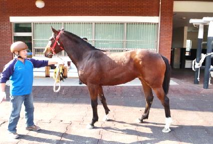 ���˸��� ����