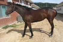 �������� (X BYEONSU) ����