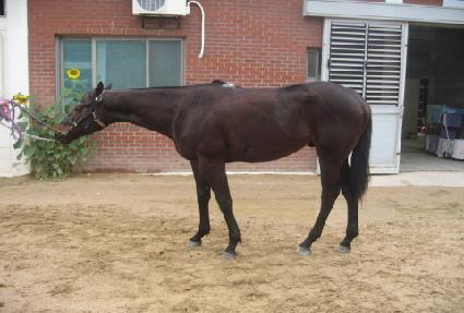 �̶� ����