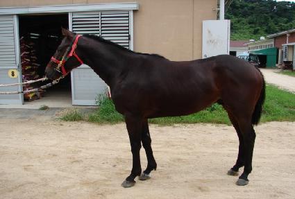 ���̽�ŷ ����