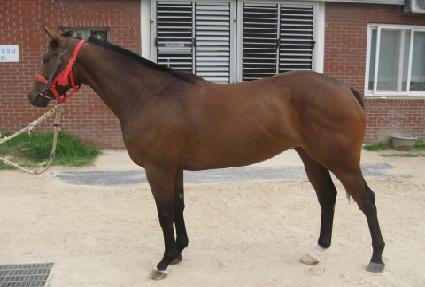 �׷���Ư�� ����