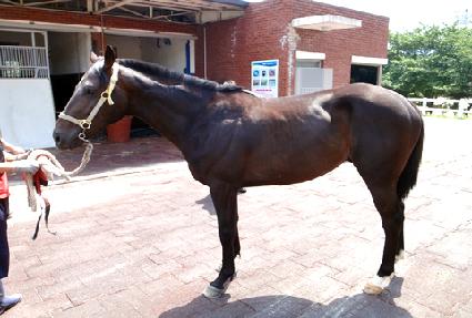 ��õ��ǳ ����