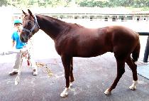 ����ƮƯ�� (PERFECT TEUKGEUP) ����