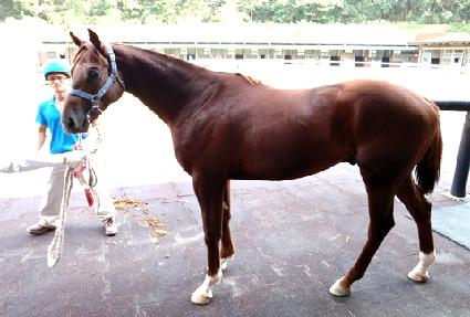 ����ƮƯ�� ����