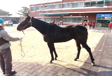 ���������� ����