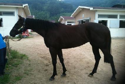 Ƽ�Ʒ� ����