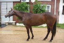 ��µ�ǳ (DAESEUNG DOLPUNG) ����