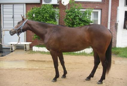 ��µ�ǳ ����