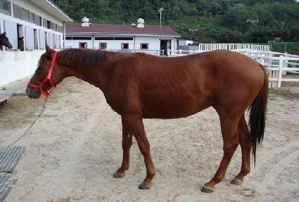 ������Ʈ�Ŀ� ����