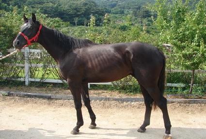 ������� ����