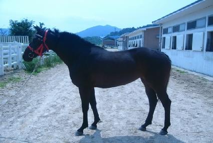 ����Ʈ�� ����