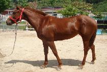 Ž���� (TAMNA GANGJA) ����