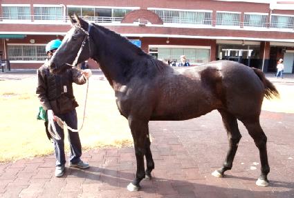 ������ ����