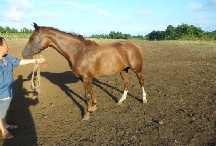 �븮��� ����