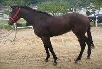 �ֳ��� (HWINALLIM) ����