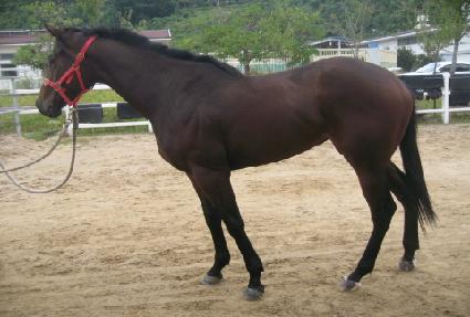 �ֳ��� ����