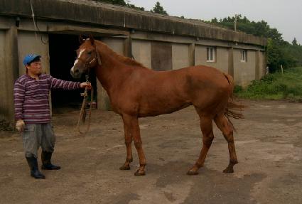 ���࿭�� ����