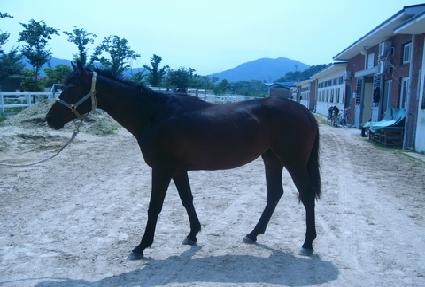 �����Ǻ� ����