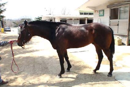 ��ǳ��ȣ ����