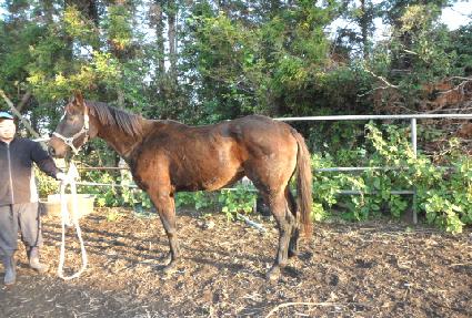 ���Ƿε� ����