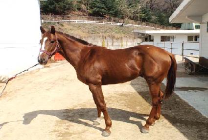 ������ ����