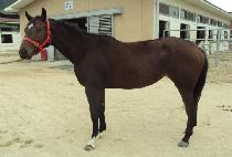 DONGSEOGONGJU picture