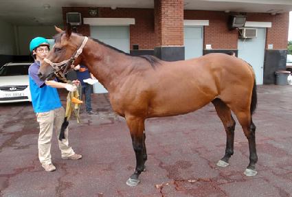 ����Ÿ�̰� ����