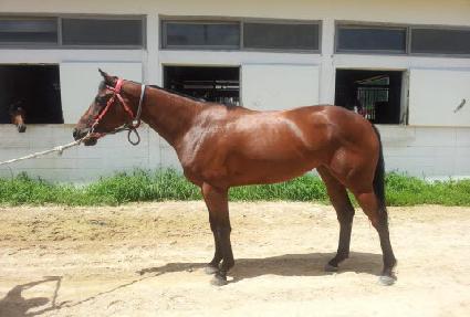 �ø��� ����