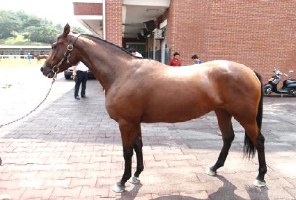 ���ٸ� ����