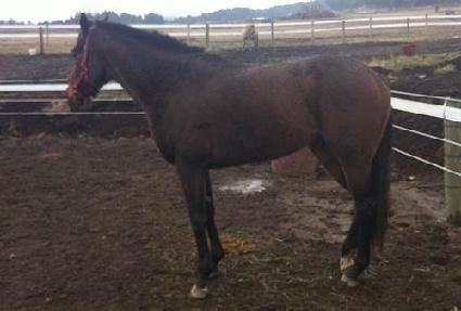 �����׸��� ����