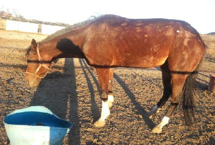 ��½ô� ����