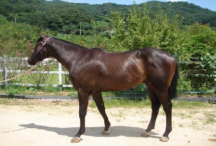 �������� ����