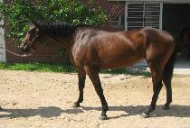 â������ (CHANGWON LOVE) ����