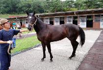 ������õ (BIJOBICHEON) ����