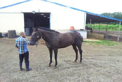 �Ƹ���Ư�� ����