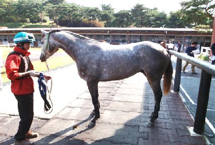 �ռ� ����