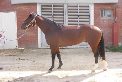 ������� ����