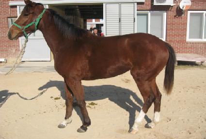 �ͳ� ����