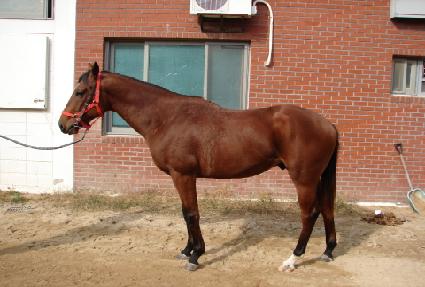 ���ֿ� ����