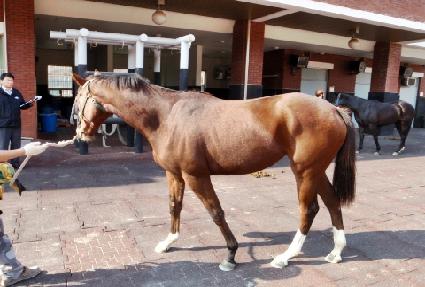 �ǿ���Ÿ ����